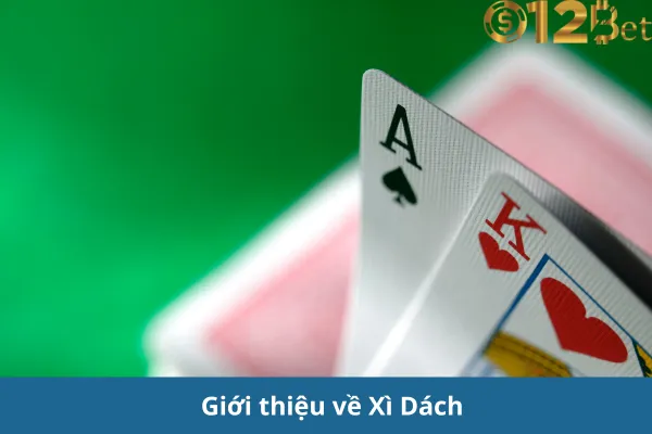 Trải Nghiệm Game Xì Dách Đổi Thưởng Cực Đỉnh 12bet – Thử Vận May Của Bạn 2 Trải Nghiệm Game Xì Dách Đổi Thưởng Cực Đỉnh 12bet – Thử Vận May Của Bạn
