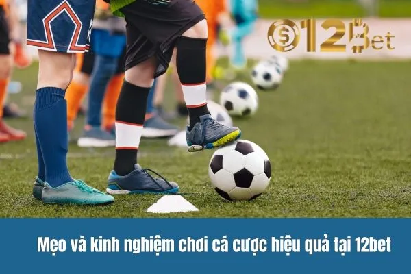 Chơi Cá Cược 12bet Như Thế Nào 3 Chơi Cá Cược 12bet Như Thế Nào