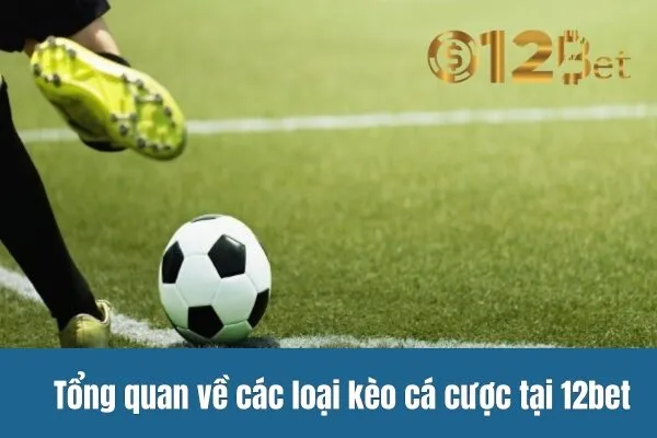 Giải Đáp Thắc Mắc Về Các Kèo Cá Cược 12bet 2 Giải Đáp Thắc Mắc Về Các Kèo Cá Cược 12bet